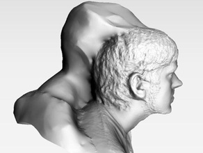 alex bunshin no jutsu sculture Scansione 3d il busto esito negativo testa umana la fotogrammetria ritratto struttura del movimento 3d print model - Mito3D