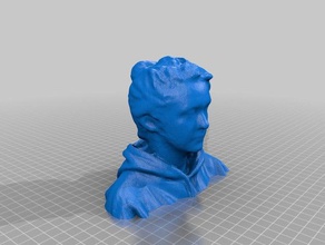 lucia persone corpo il busto faccia ragazza testa umana torso donna 3d print model - Mito3D