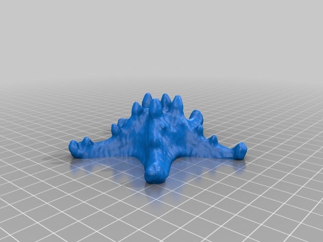 Sterne Fisch durchsucht Replikate aquatic makerbotdigitizer Modell Seestern 3D print model - Mito3D
