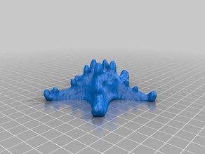 peixes estrelas varreduras réplicas aquáticos makerbotdigitizer modelo estrela do mar 3d print model - Mito3D