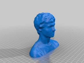 lee varreduras réplicas o corpo menino do busto rosto a cabeça humana pessoas torso 3d print model - Mito3D