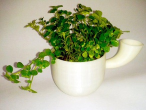garip pot bitki diğer 3d print model - Mito3D