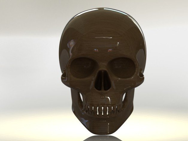 skull other 3D print model - Mito3D