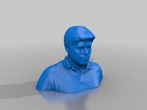 scan 3d printing 3d print model - Mito3D