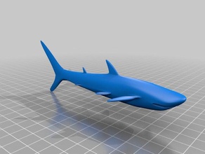 shark animali requin squall 3d print model - Mito3D