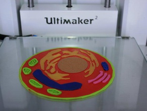 planta de color celda biología biologyu la celular colorfabb impresión en 3d print model - Mito3D
