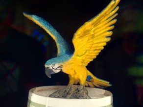 pássaro tropical 3d impressão 3d print model - Mito3D