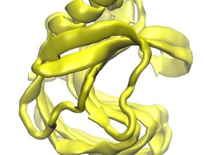 jelly roll-protein Biologie molekular-Modell Molekül protein data bank protein-Struktur 3d print model - Mito3D