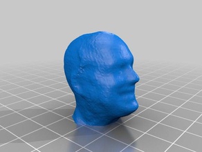 patricks head people roth mobot scan 3d print model - Mito3D