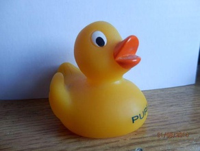 rubber duck toy game accessories 3d print model - Mito3D