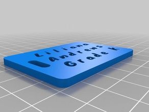 lili luggage label organization customized 3d print model - Mito3D