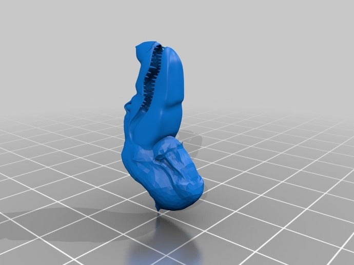 timsah rex hayvanlar 3D print model - Mito3D