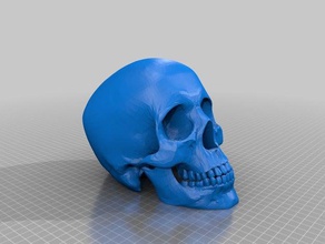 make not clean people skull 3d print model - Mito3D