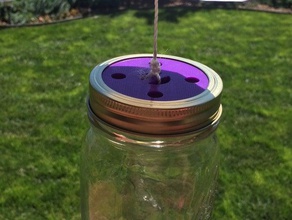 mason jar de la mosca trampa al aire libre jardín tapa plagas 3d print model - Mito3D