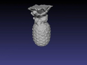 yummy pineapple other 3d reconstruction image based reconstrusction organic fruit hypr3d meshlab netfabb 3d print model - Mito3D
