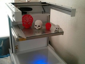 desenli kafatası derisi yüzülmüş biyoloji 3d print model - Mito3D