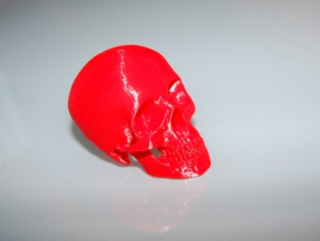 skull scaner mf 3d printing 3D print model - Mito3D
