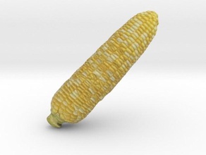 corn scans replicas 3dmodel 3dprintable 3dprinting amazingdesign baixar color downloadable food fullcolorplastic hamta indir kukorica kukurydza mais maize majs milho msr obj ply png pobierz real scarica stl telecharger textured vegetable vrml wrl 3d print model - Mito3D