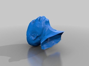 Kopf Menschen 3d print model - Mito3D