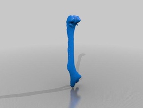 ct scan mouse femur half biology anatomy bone bones skeleton 3d print model - Mito3D