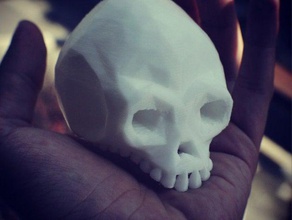 low poly velho crânio esculturas lowpoly 3d print model - Mito3D