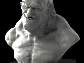 scary old dude bust sculptures man sam rowan zbrush 3d print model - Mito3D
