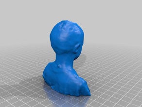 face noah people 3d print model - Mito3D