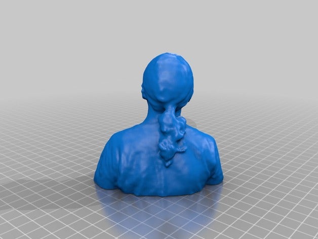 Gesicht savannah Menschen 3D print model - Mito3D