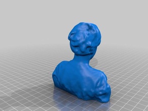 face wess people 3d print model - Mito3D