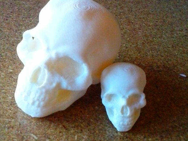 Schädel Kreaturen Knochen cranium dia los muertes halloween halloween-Charme prop Kopf 3D print model - Mito3D