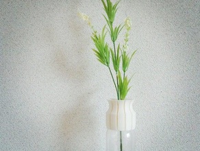 pet vaso cap 01 do agregado familiar a decoração exibir 3d print model - Mito3D
