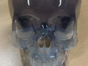 crâne de cristal passe-temps humain 3d print model - Mito3D