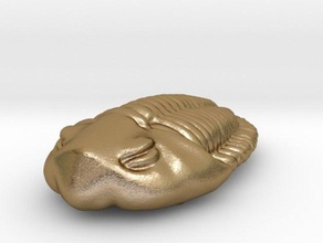 trilobite k-classe sculptures final fossile préhistorique 3d print model - Mito3D