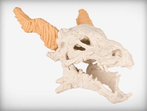 dragon skull Tiere 3d print model - Mito3D