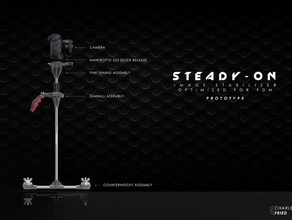fdm amical steady cam de la caméra stabilisateur vidéo vidéographie 3d print model - Mito3D