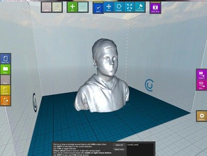 scanned me 2 3d printing 3d print model - Mito3D