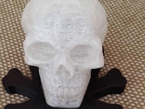 lighted celtic skull base scans replicas halloween prop holder led stand 3d print model - Mito3D