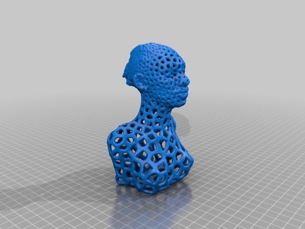 de voronoi estatua las esculturas el busto martina kysucka personas extraña 3D print model - Mito3D