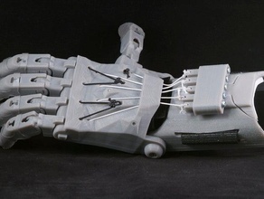 raptor hand andere 3d print model - Mito3D