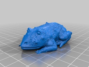 il rospo sculture animale 3d print model - Mito3D