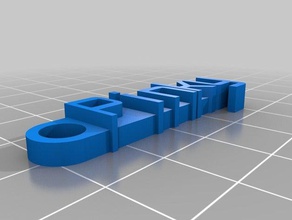mi meñique llavero organización personalizado 3d print model - Mito3D