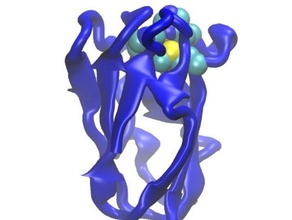 plastocyanin cuii forma biologia molecolare molecola proteina protein data bank 3d print model - Mito3D