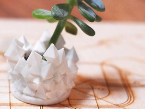 mini pyramid succulent pot outdoor garden 3d print model - Mito3D
