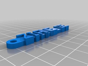 ziane ge organizasyon özelleştirilmiş 3d print model - Mito3D