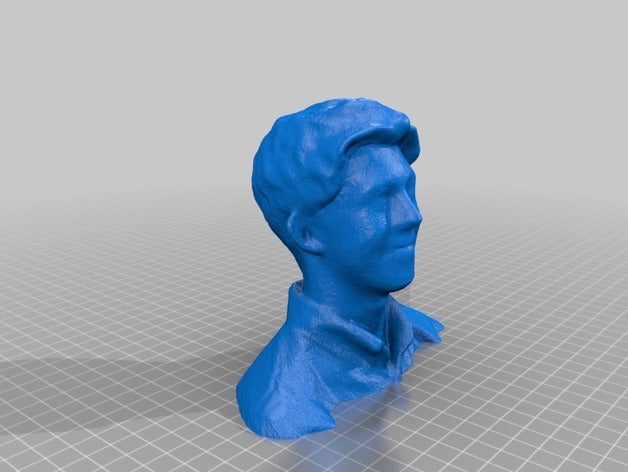 ellis personnes corps garçon le buste visage tête de l'homme d'homme torse 3D print model - Mito3D