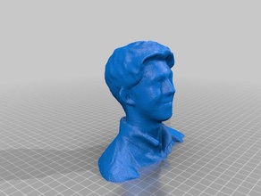 ellis people body boy bust face head human man torso 3d print model - Mito3D
