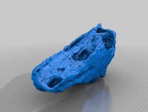 herrerasaurus skull animals dinosaur fossil scan 3d print model - Mito3D