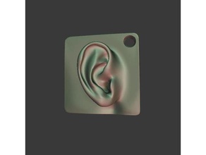 ear updated people 3d print model - Mito3D