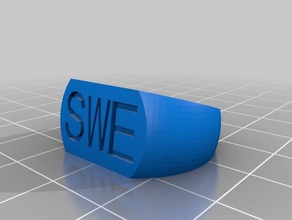 swe 2 rings customized 3d print model - Mito3D