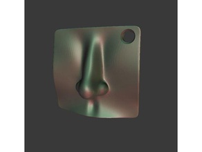 burun güncellendi insanlar anatomi broş yüz Anahtarlık kolye 3d print model - Mito3D